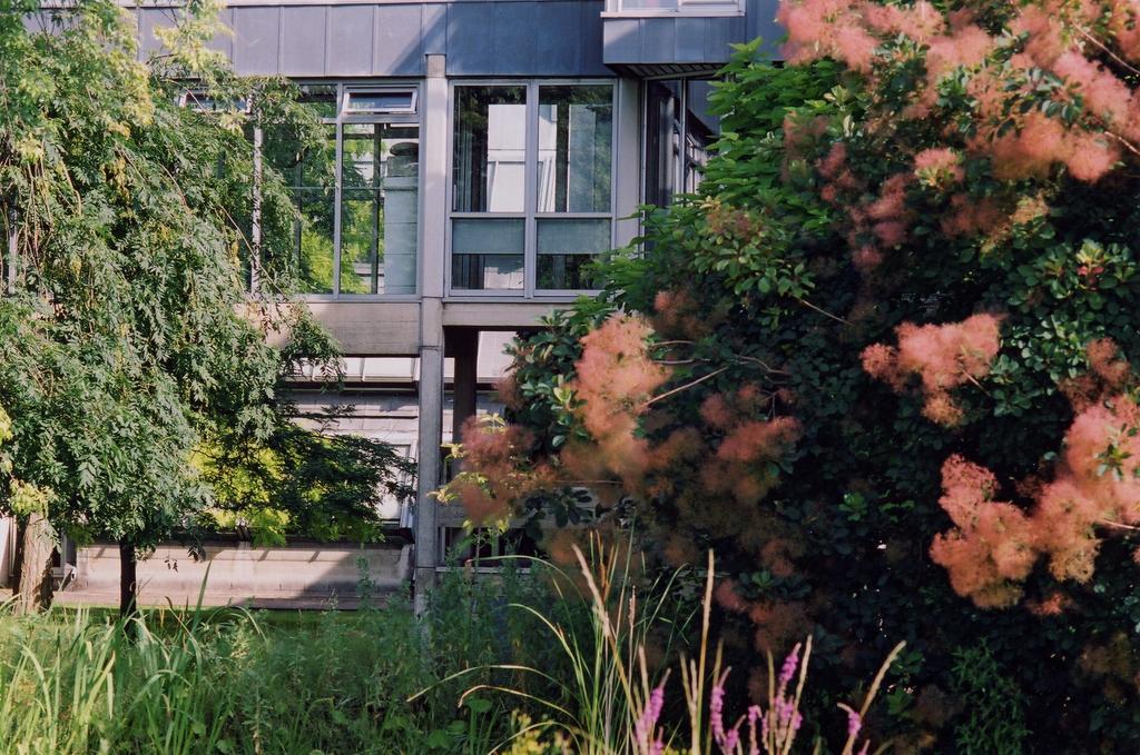 Egrove Park, University Of Оксфорд Екстериор снимка